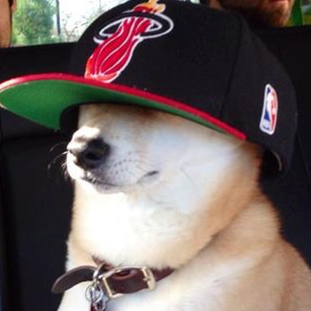 Meet your Posher, Naomi